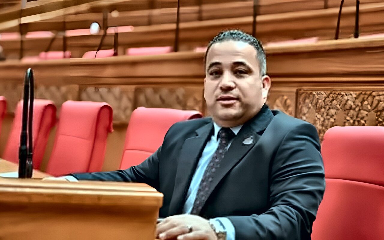 برلماني: جولة الرئيس السيسي الآسيوية تفتح آفاقًا جديدة للشراكة الاقتصادية وتعزز مكانة مصر الدولية