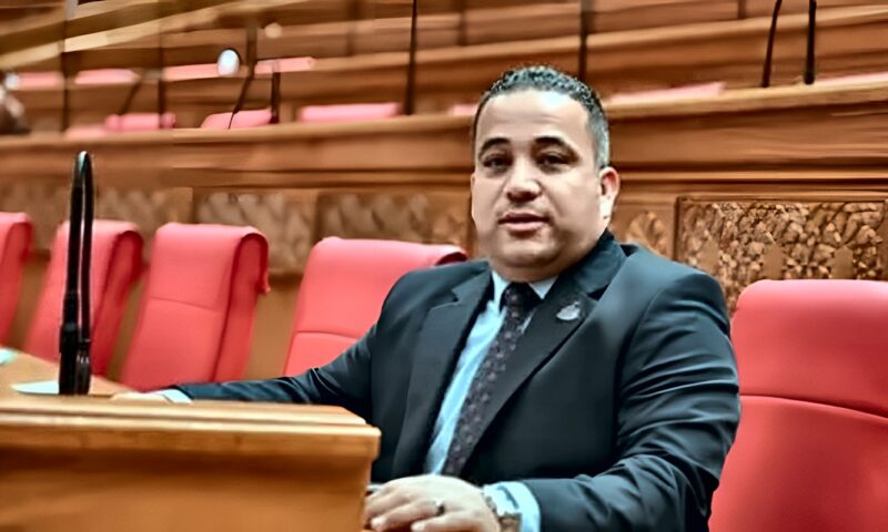 برلماني: جولة الرئيس السيسي الآسيوية تفتح آفاقًا جديدة للشراكة الاقتصادية وتعزز مكانة مصر الدولية