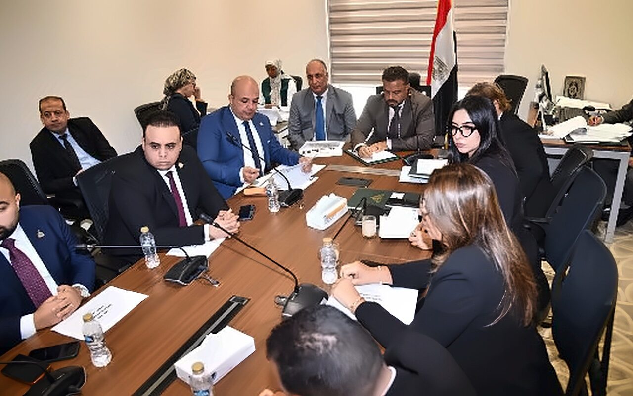 متابعة ميدانية وتشريعات خدمية.. مجاهد يعلن استراتيجية «شباب النواب»