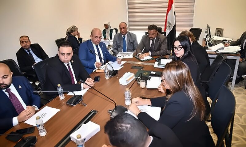 متابعة ميدانية وتشريعات خدمية.. مجاهد يعلن استراتيجية «شباب النواب»