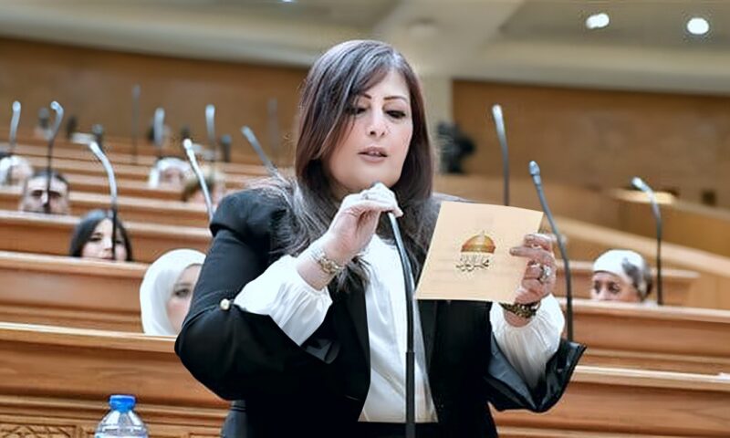 إليزابيث شاكر: رسائل الرئيس السيسي بشأن الدستور تؤكد ثوابت الدولة وترسخ سيادة القانون