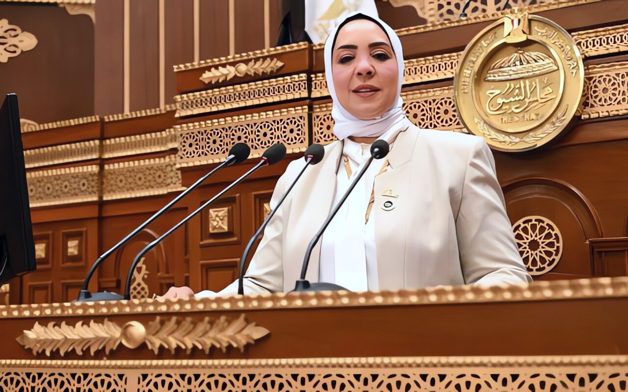 برلمانية: تحذيرات الرئيس السيسي من الإفراط في استخدام مواقع التواصل الاجتماعي جرس إنذار لحماية وعي المصريين