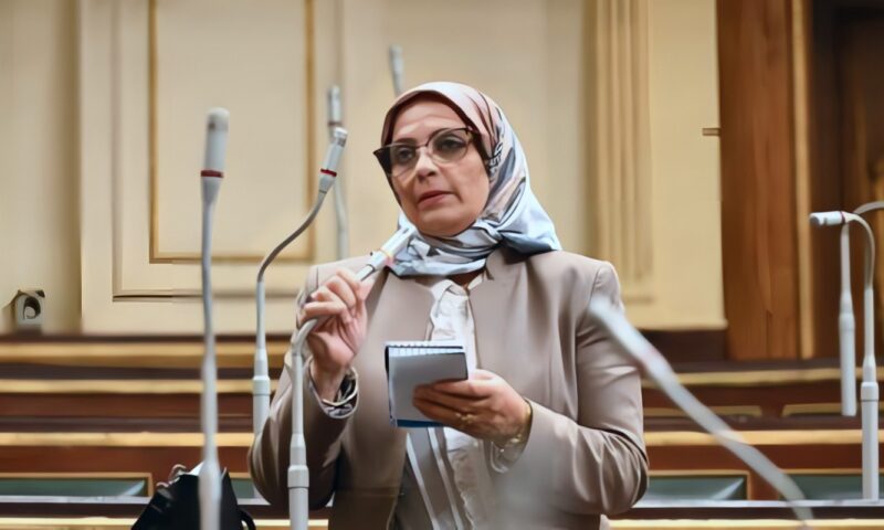 راجعوا دروس أكتوبر.. برلمانية توجه رسالة ردًا على تهديدات وزير مالية الاحتلال