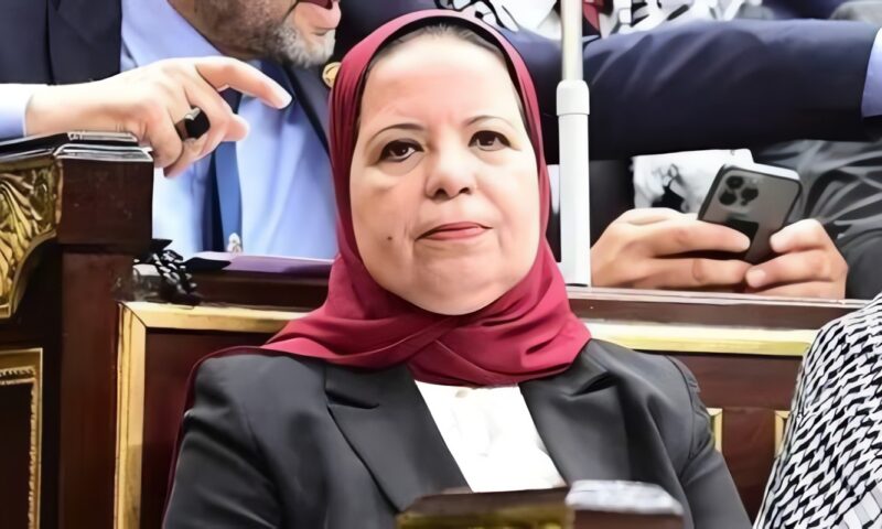 أمل عصفور تفتح ملف الحوافز المقدمة للشركات الناشئة: هل تتحول الأفكار المبتكرة إلى مشروعات