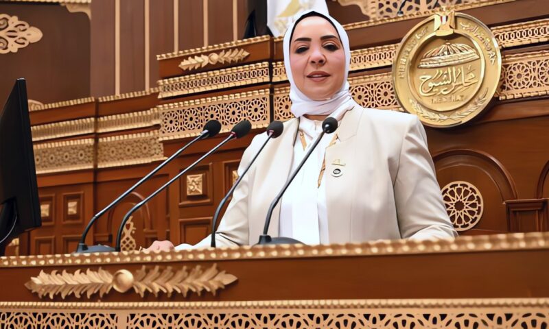 برلمانية: مستقبل الدولة لا يُصنع بجهد مؤسسة واحدة.. وتنفيذ توصيات منتدى مصر الاختبار الحقيقي للحوار