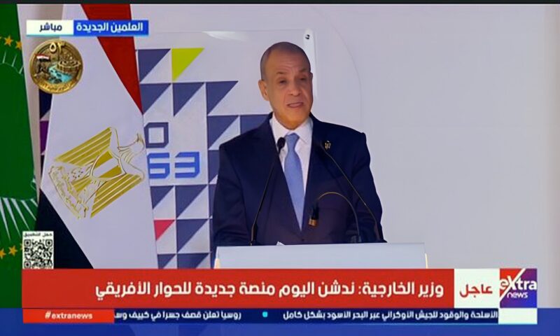 وزير الخارجية: التكامل الاقتصادي بين الدول الأفريقية لا يُبنى بقرارات شخص