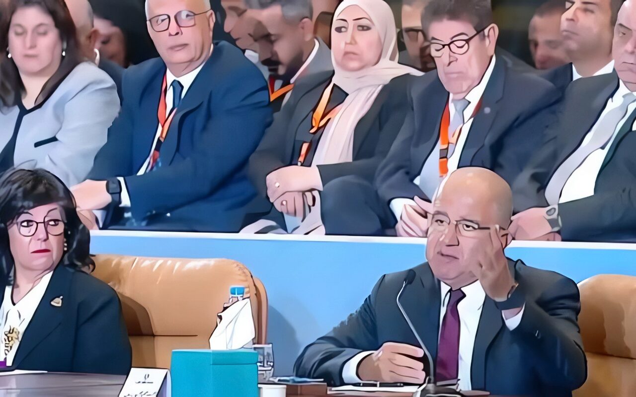محمد السويدي: المناطق الصناعية الصغيرة تفتح آفاقًا جديدة لتشغيل المرأة في مصر
