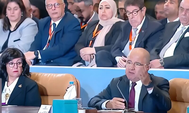 محمد السويدي: المناطق الصناعية الصغيرة تفتح آفاقًا جديدة لتشغيل المرأة في مصر