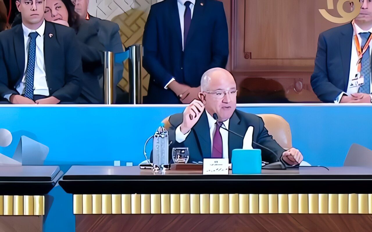 محمد السويدي: البيروقراطية وتغير السياسات يعوقان الاستثمار الصناعي في مصر