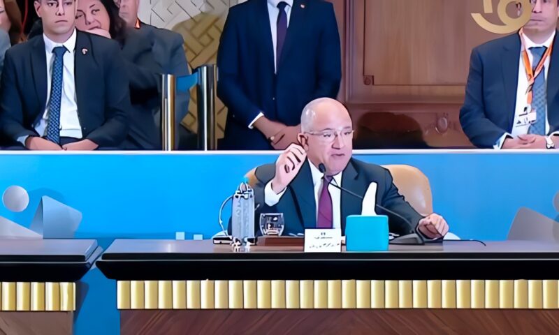 محمد السويدي: البيروقراطية وتغير السياسات يعوقان الاستثمار الصناعي في مصر