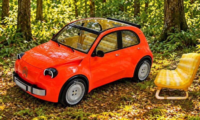 لنقل البيض .. سيتروين تكشف عن 2CV | صور