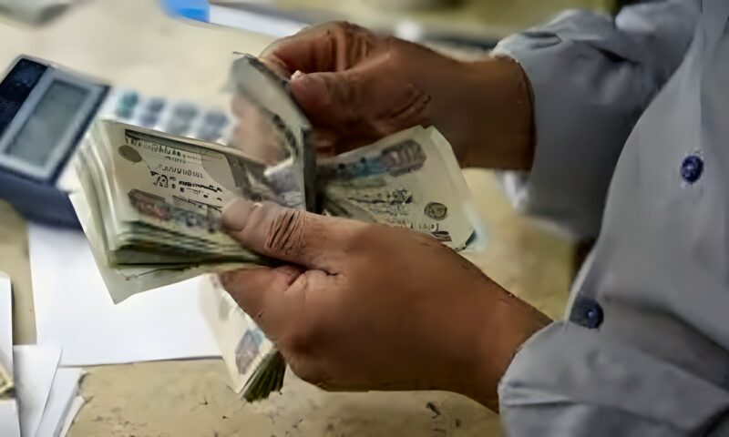 المعاشات في مصر تتغير.. أصول التأمينات تقفز مليارات والهيئة تكشف التفاصيل