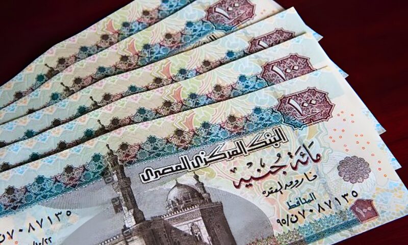 مد الخدمة والتعاقد بعد المعاش.. ماذا يقول القانون عن مستقبل الأطباء؟