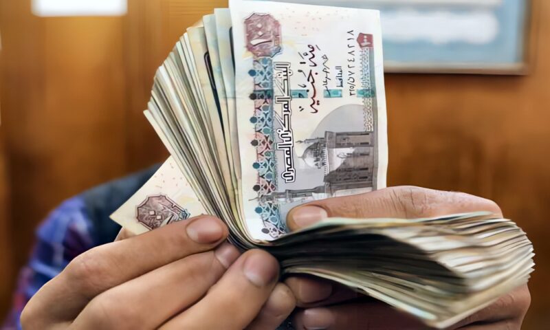 موعد صرف معاشات شهر نوفمبر لـ11.5 مليون مستحق