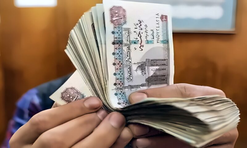 أموال التأمينات تقترب من التريليون جنيه.. جمال عوض يكشف التفاصيل