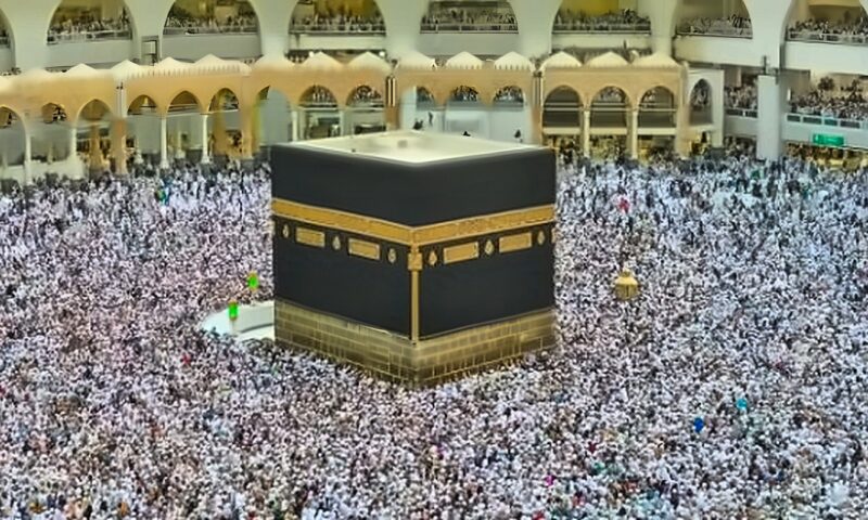 التضامن: تطبيق إلكتروني لخدمات حجاج الجمعيات الأهلية وتوفير رعاية خاصة لكبار السن وذوي الإعاقة