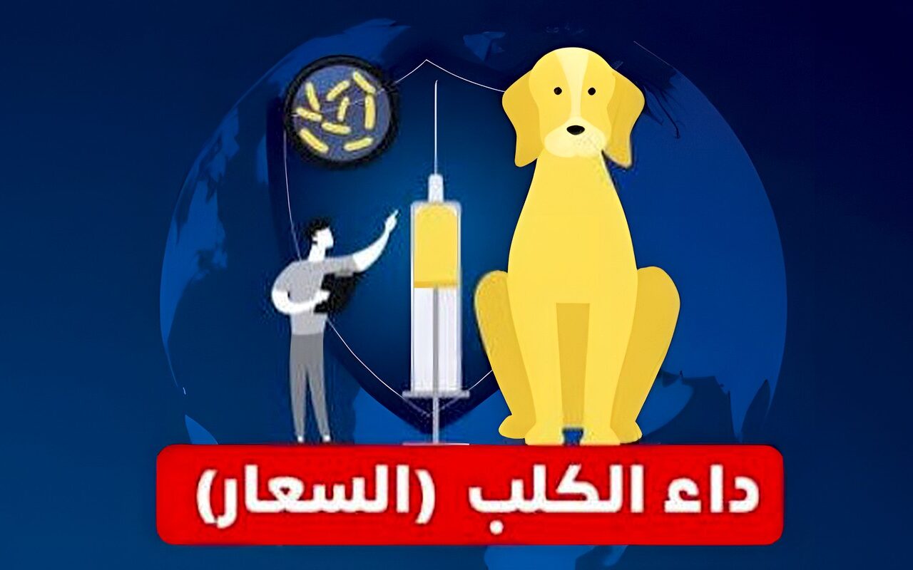 بعد وفـ.ـاة طفلة في بورسعيد بسبب السعار.. أبرز الأعراض وطرق انتقال العدوى