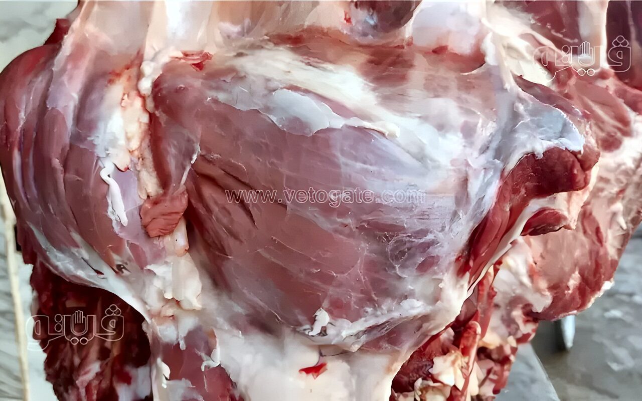 كبير السن في “المتناول” والصافي لـ”المقتدرين”، أسعار اللحوم اليوم الأربعاء بالأسواق