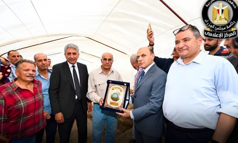 بعد واقعة أثر قرية بهبيت بالغربية.. متى يكافئك قانون حماية الآثار؟