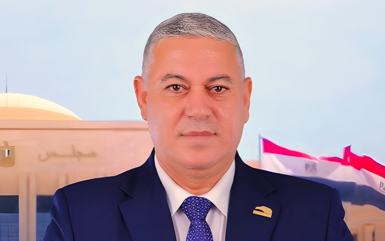 برلماني: تحديث الري والإدارة الرقمية للمياه ضرورة لمواجهة التحديات المائية