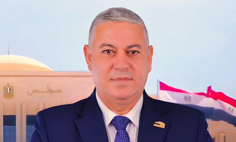 برلماني: تحديث الري والإدارة الرقمية للمياه ضرورة لمواجهة التحديات المائية