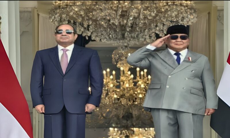 الرئيس السيسي يلتقي نظيره الإندونيسي بالقصر الرئاسي بعد التوقيع في دفتر التشريفات