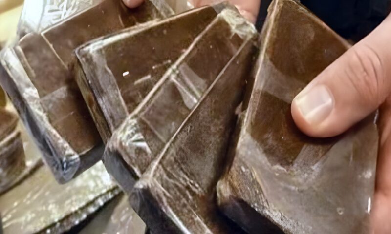 99% حشيش.. حقوق الإنسان تكشف مفاجأة بشأن 6500 موظف فصلوا بسبب المخدرات