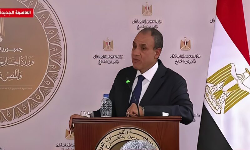 وزير الخارجية: الموافقة على 36 سدا من المقرر تشييدها في دول حوض النيل