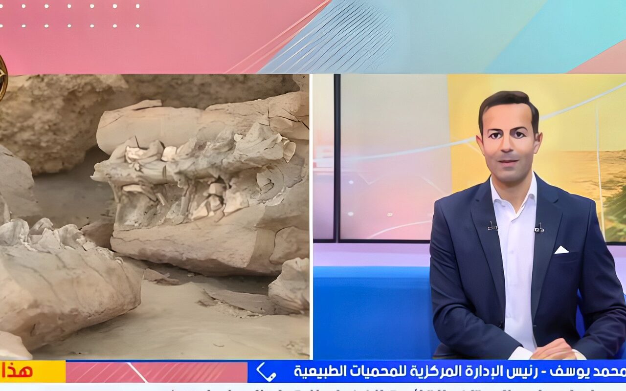 المحميات الطبيعية: تجديد إدراج وادي الحيتان بالقائمة الخضراء اعتراف دولي بكفاءة إدارته