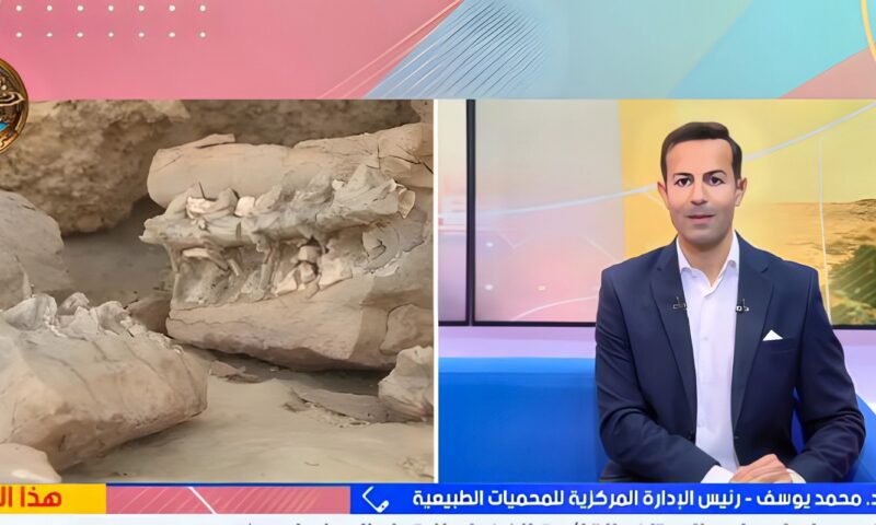 المحميات الطبيعية: تجديد إدراج وادي الحيتان بالقائمة الخضراء اعتراف دولي بكفاءة إدارته