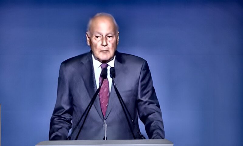 أبو الغيط: الاستراتيجية المصرية جمعت بين القوة العسكرية والدبلوماسية لاستعادة سيناء