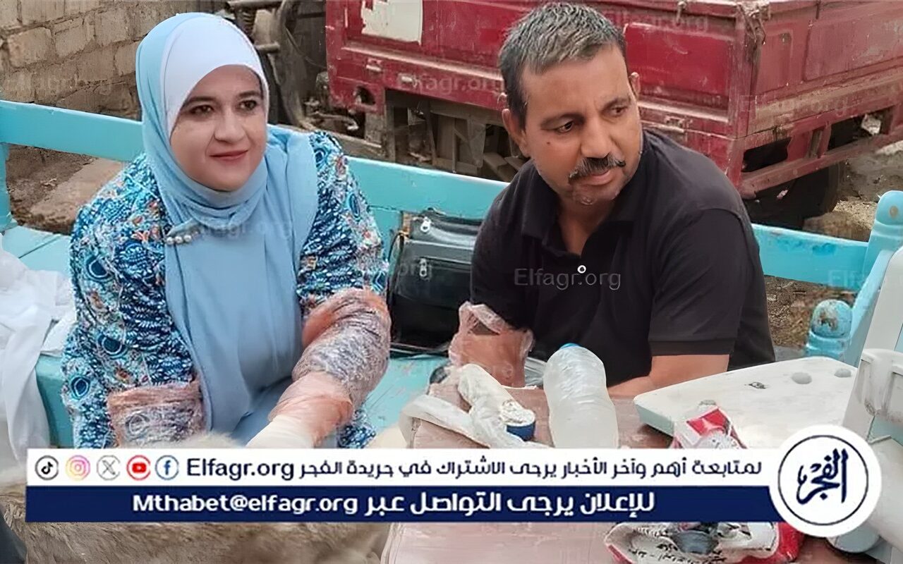 محافظ أسيوط: تسليم 127 رأسًا من الأغنام والماعز ل60 أسرة ببني مر بالفتح