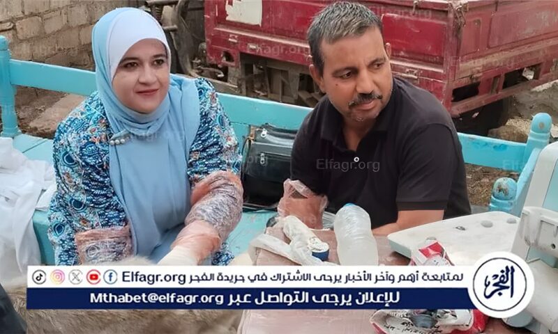 محافظ أسيوط: تسليم 127 رأسًا من الأغنام والماعز ل60 أسرة ببني مر بالفتح