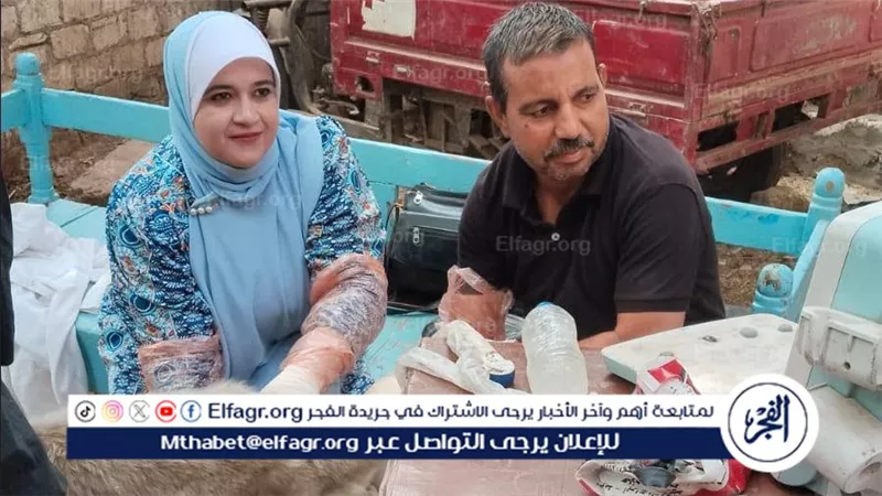 محافظ أسيوط: تسليم 127 رأسًا من الأغنام والماعز ل60 أسرة ببني مر بالفتح