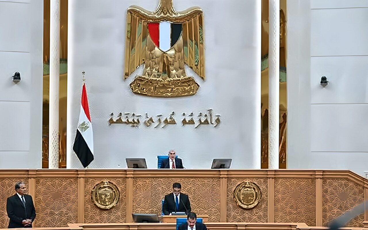 بعد فتح باب تعديل رغبات الانضمام، موعد إعادة تشكيل اللجان النوعية بمجلس الشيوخ