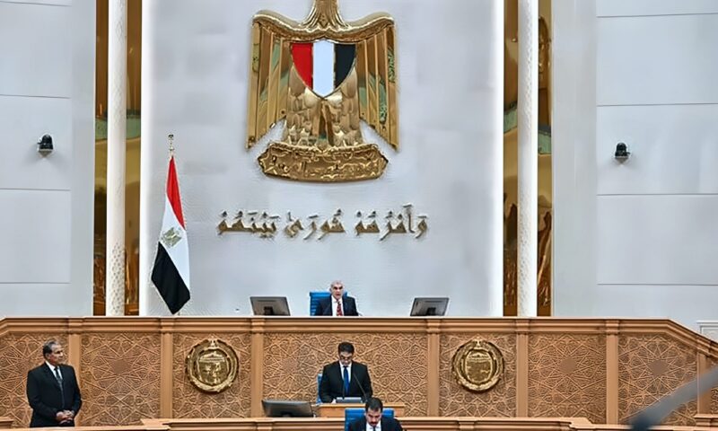 بعد فتح باب تعديل رغبات الانضمام، موعد إعادة تشكيل اللجان النوعية بمجلس الشيوخ