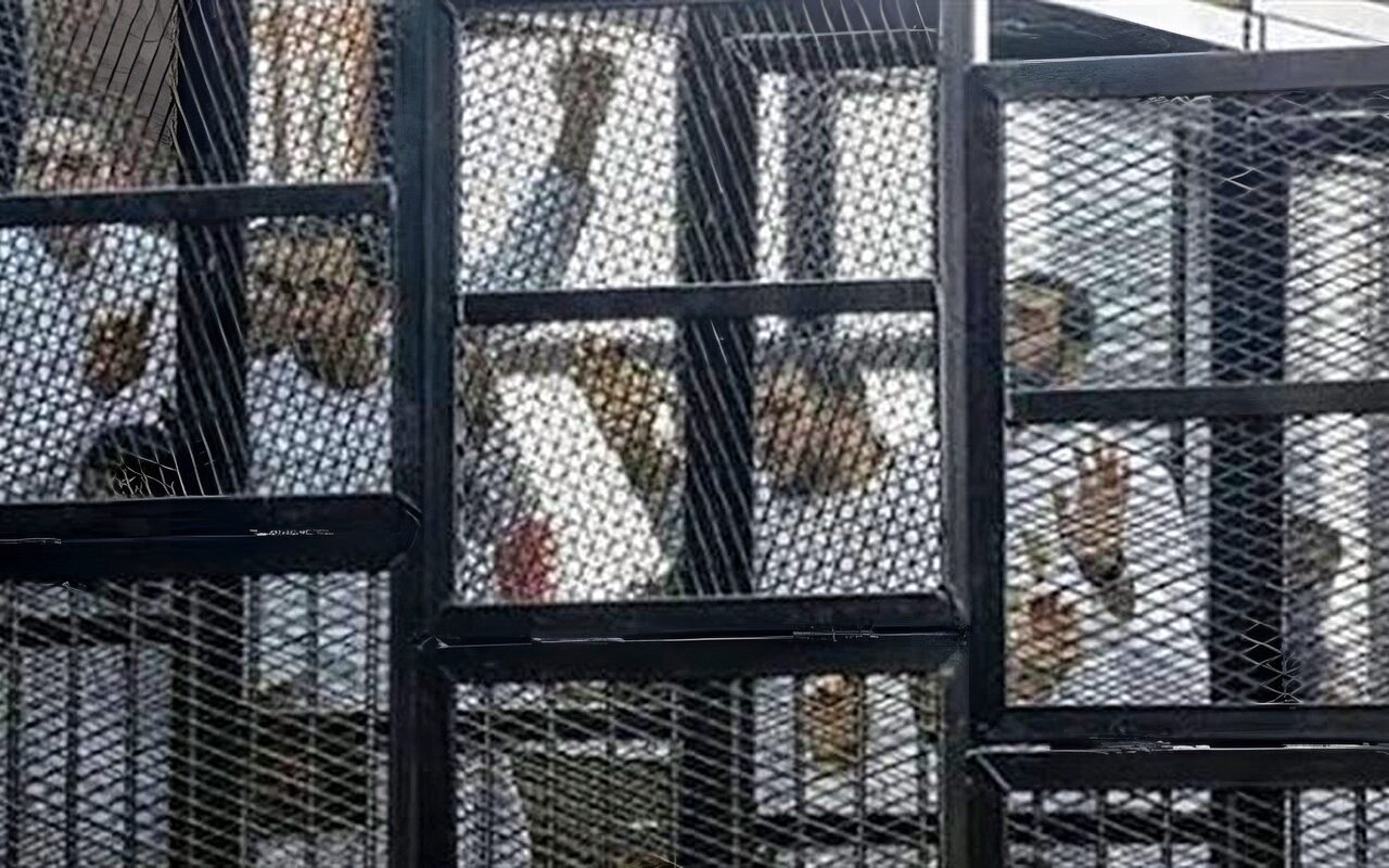 تأجيل محاكمة 124 متهما في قضايا أحداث المنصة والهيكل الإداري وخلية مدينة نصر