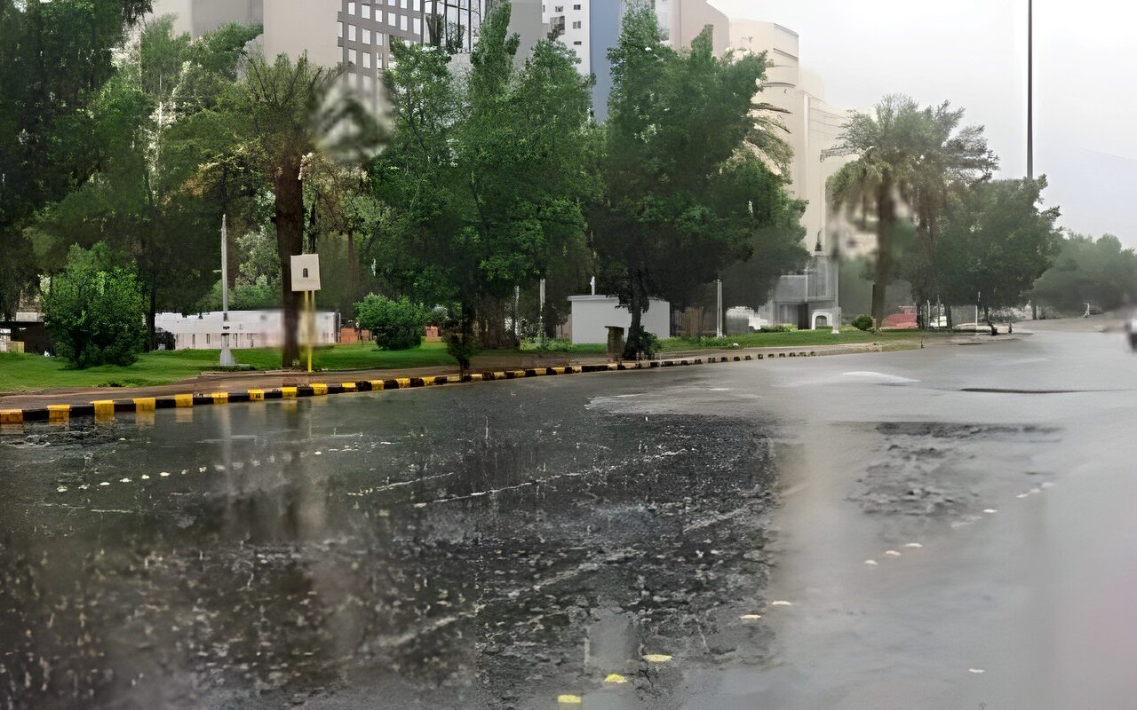 تبدأ غدا.. الأرصاد تحذر من أمطار رعدية وشبورة كثيفة خلال الأيام القادمة