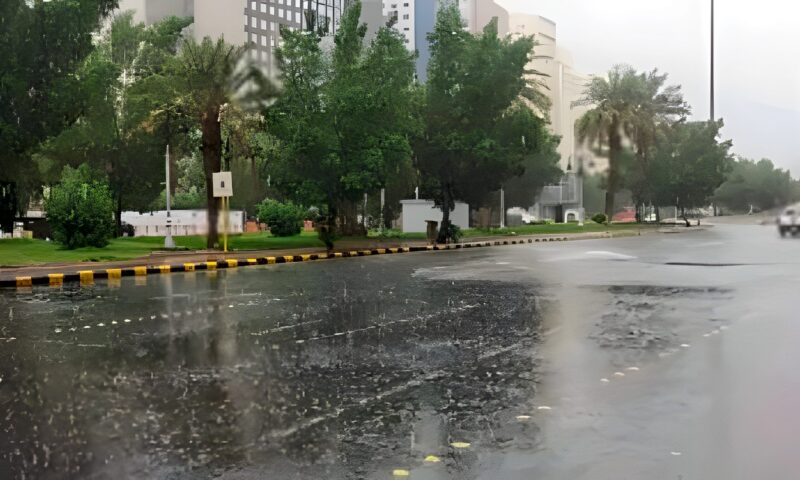 تبدأ غدا.. الأرصاد تحذر من أمطار رعدية وشبورة كثيفة خلال الأيام القادمة