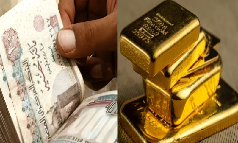 أستاذ اقتصاد يكشف أفضل أوعية الإدخار في مصر.. ويحذر من مخاطر الاستثمار دون خبرة