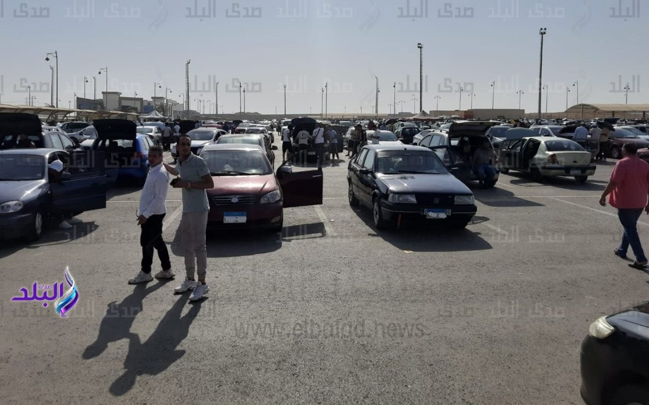 محمد سلامة لـ صدى البلد: عودة الأوفر برايس مرتبطة بنقص المعروض.. وارتفاع أسعار السيارات ليس حتميا