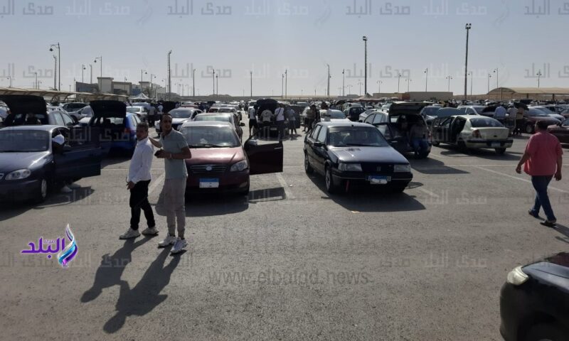محمد سلامة لـ صدى البلد: عودة الأوفر برايس مرتبطة بنقص المعروض.. وارتفاع أسعار السيارات ليس حتميا