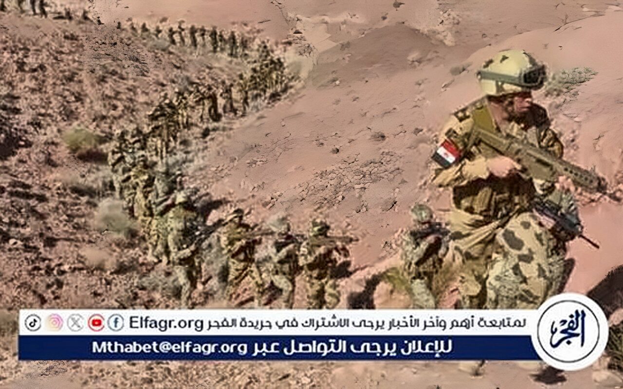 أستاذ فلسفة الفن المصري القديم: العقيدة العسكرية المصرية دفاعية وردعية
