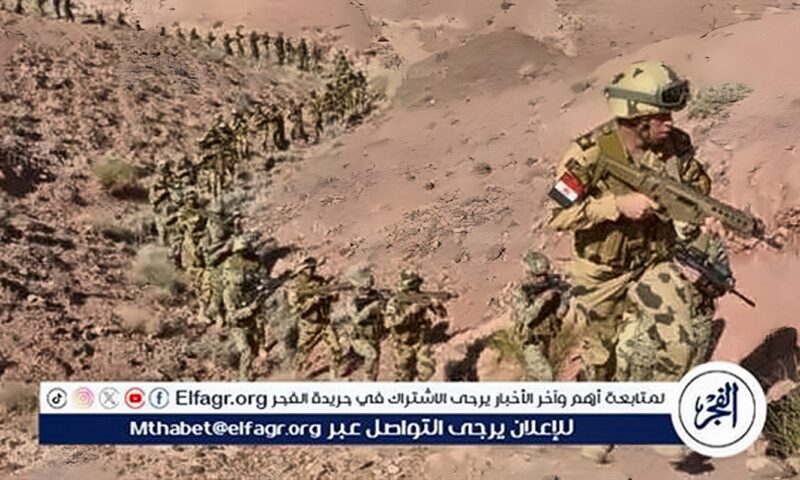 أستاذ فلسفة الفن المصري القديم: العقيدة العسكرية المصرية دفاعية وردعية