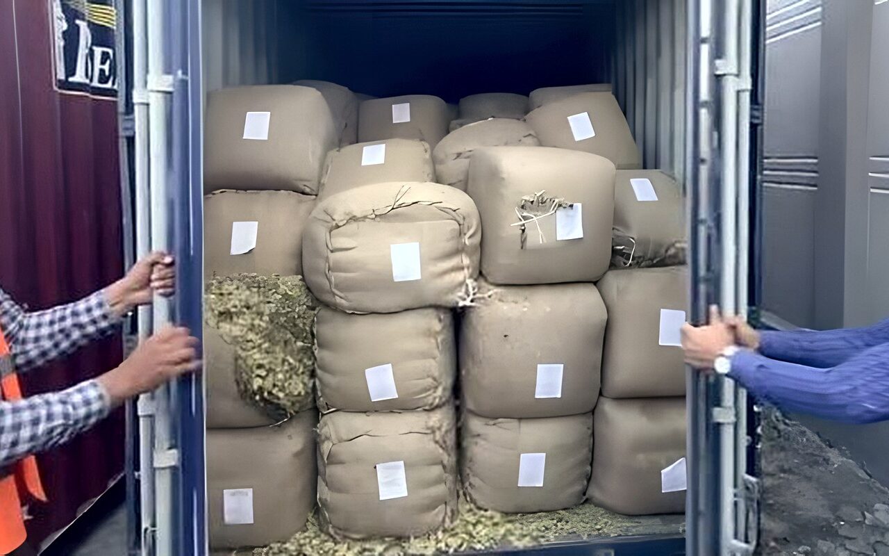 مصادرة البضائع المهربة في هذه الحالات طبقا للقانون.. تعرف عليها