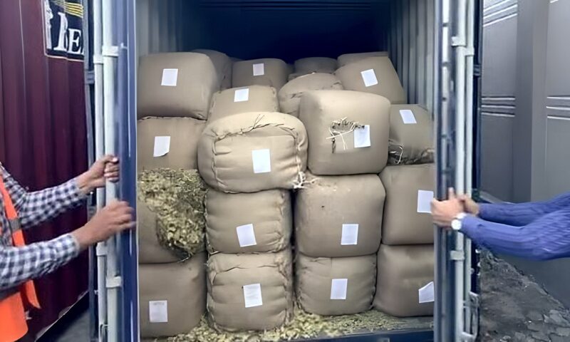 مصادرة البضائع المهربة في هذه الحالات طبقا للقانون.. تعرف عليها