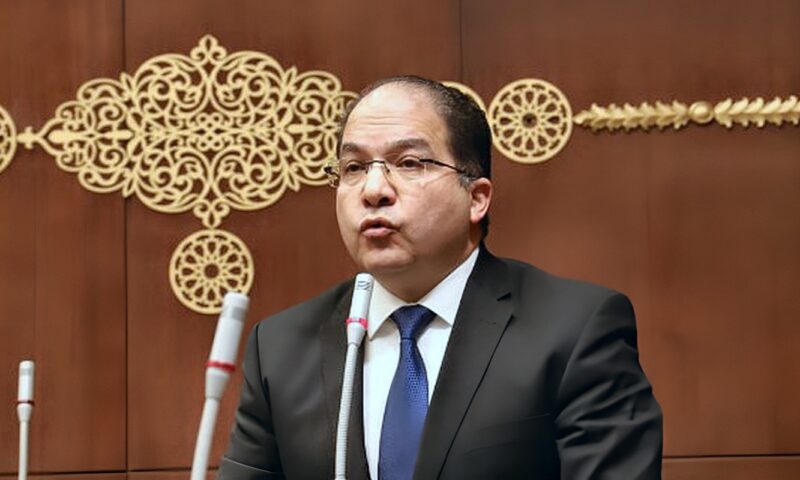 نائب: زيارة الرئيس السيسي لكوريا الجنوبية فرصة لتعزيز الشراكة الاقتصادية والتجارية