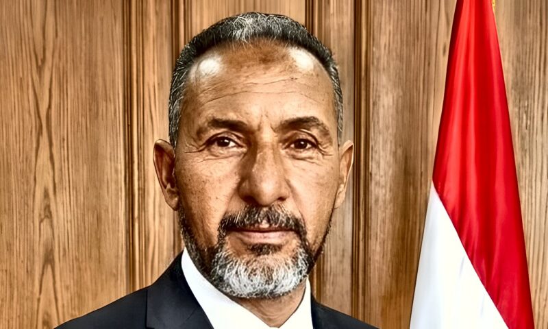 مسعود علام: جولة الرئيس السيسي الآسيوية تعزز مكانة مصر مركزًا إقليميًا للاستثمار والإنتاج