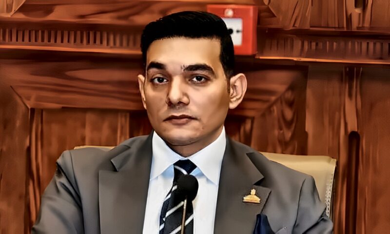 نائب: الجولة الآسيوية للرئيس السيسي تاريخية ترسخ مكانة مصر الدولية وتدعم تنويع الشراكات