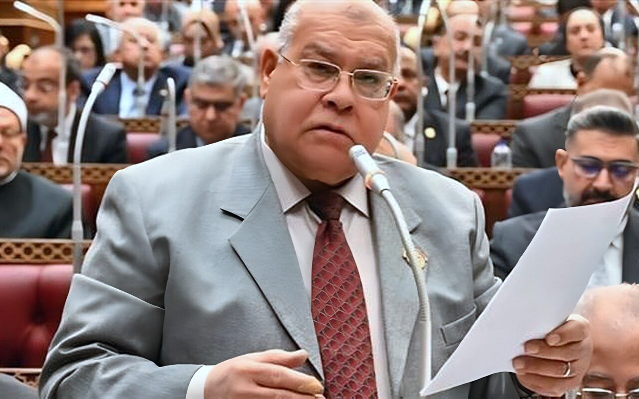 نائب: هناك اتجاه لدعم الصناعة الوطنية وفتح آفاق جديدة لتوفير فرص عمل
